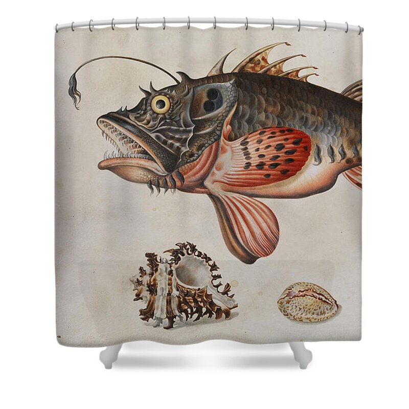 Maria Shower Curtain featuring the painting Deep-Sea Fish, Crabs and Sea Snails by Maria Sibylla Merian
