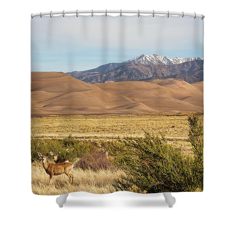 Wildlife Shower Curtain featuring the photograph Deer And The Colorado Sand Dunes by James BO Insogna