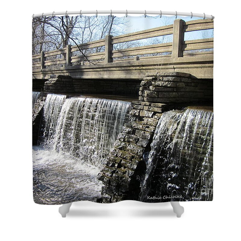 Photography Shower Curtain featuring the photograph Deer Grove by Kathie Chicoine