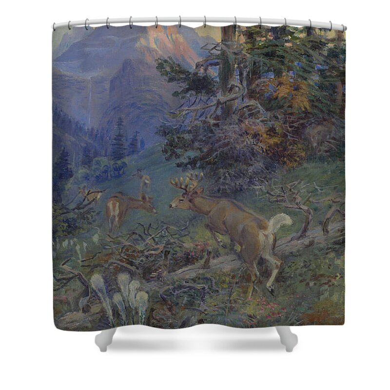 Deer In Forest (white Tailed Deer) By Charles M. Russell Shower Curtain featuring the painting Deer In Forest by MotionAge Designs