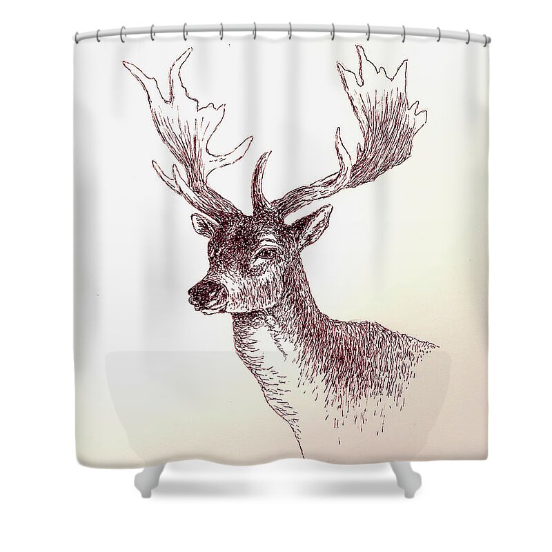 Deer Shower Curtain featuring the painting Deer In Ink by Michael Vigliotti