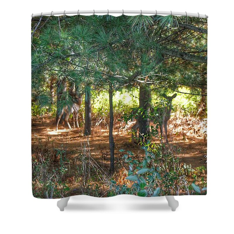 Deer Shower Curtain featuring the photograph 1011 - Deer of Croswell I by Sheryl L Sutter