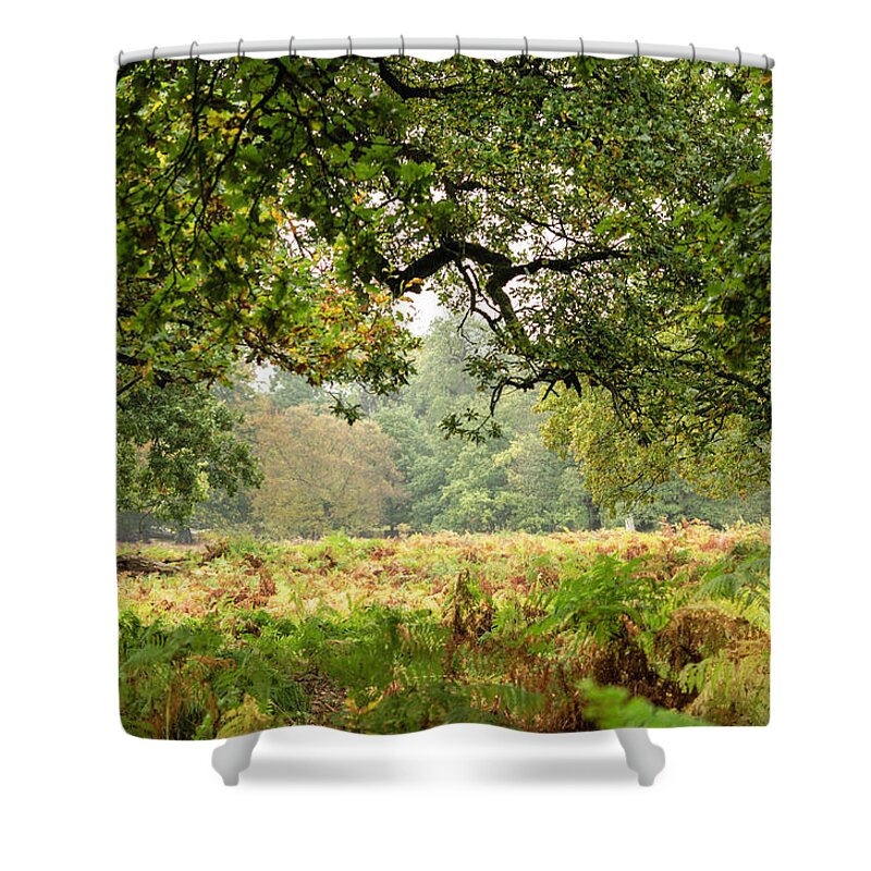 Deer Shower Curtain featuring the photograph Deer PArk by Spikey Mouse Photography