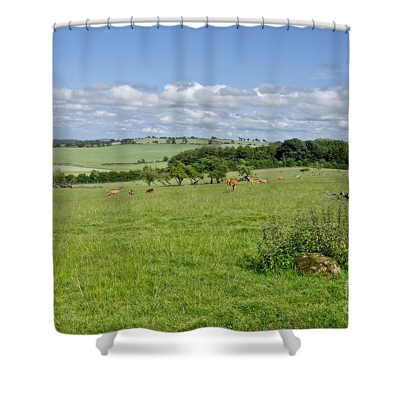 Beecraigs Shower Curtain featuring the photograph Deer pasture in Beecraigs Country Park. by Elena Perelman