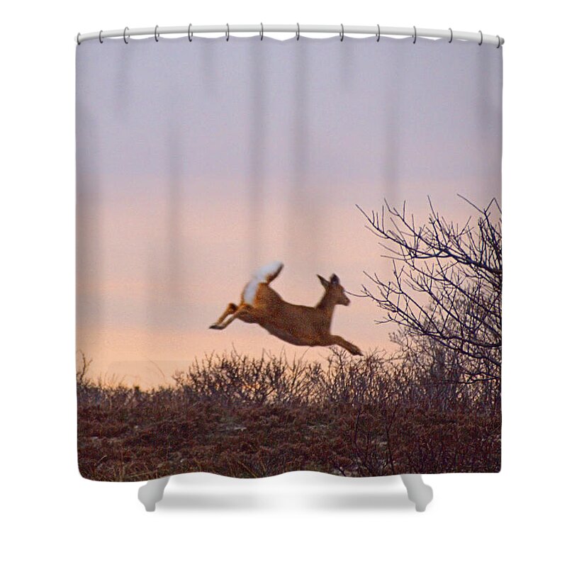 Ocean Shower Curtain featuring the photograph Deer Run by Newwwman