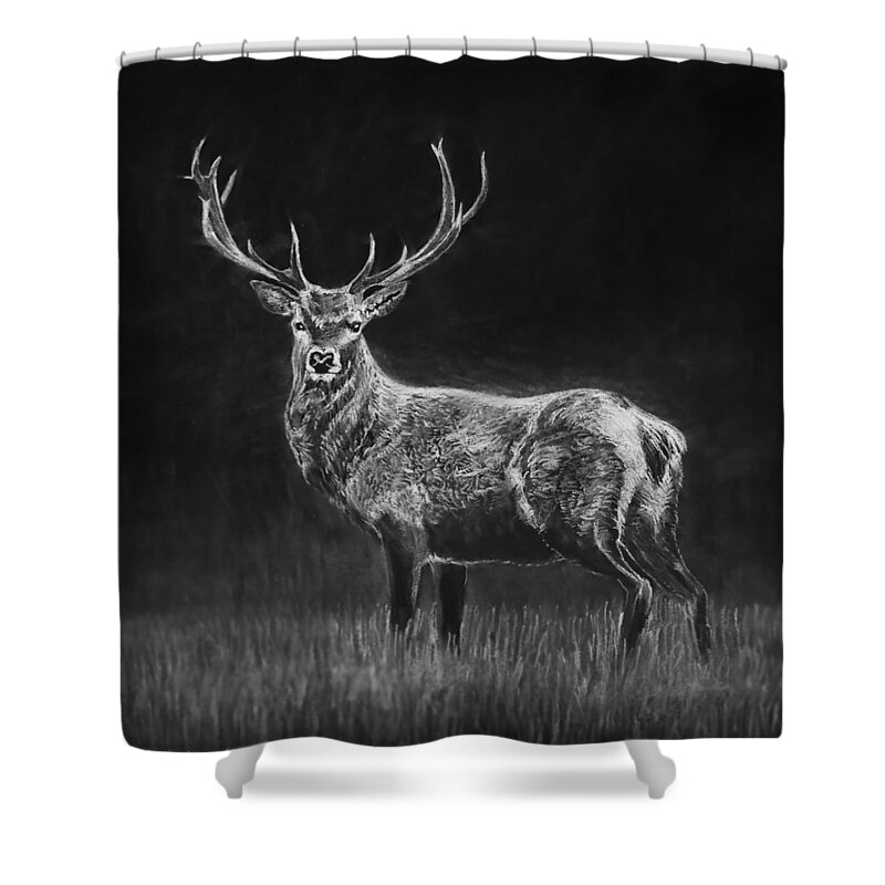 Wildlife Shower Curtain featuring the drawing Deer Sketch by Douglas Castleman