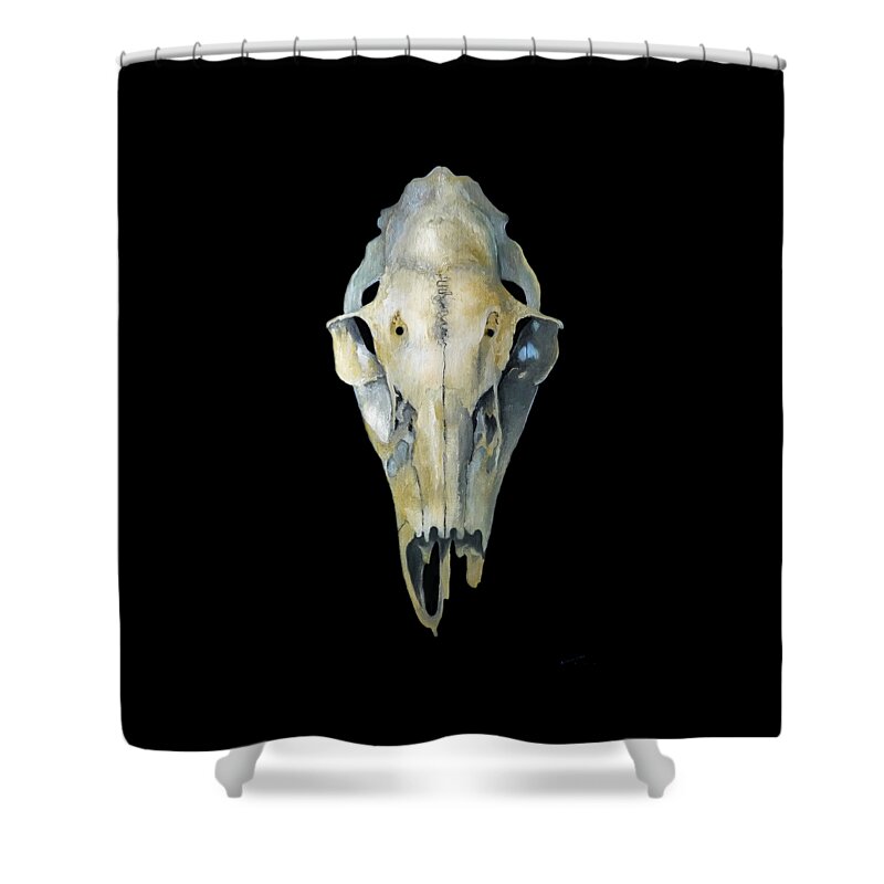 Deer Shower Curtain featuring the painting Deer Skull Aura by Catherine Twomey