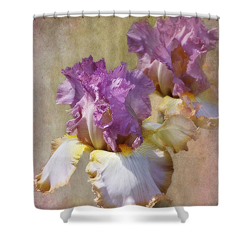 Flower Shower Curtain featuring the photograph Delicate Gold And Lavender Iris by Phyllis Denton