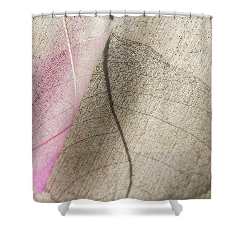 Leaf Shower Curtain featuring the mixed media Delicate in Design by Terry Davis