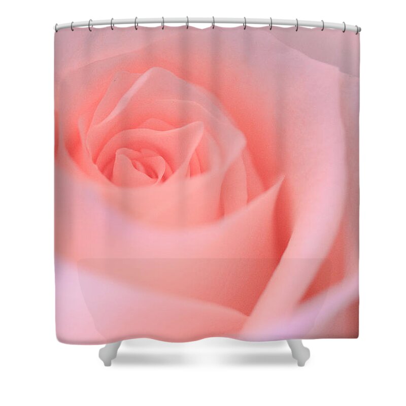 Beautiful Shower Curtain featuring the photograph Delicate Pink Rose by Joni Eskridge