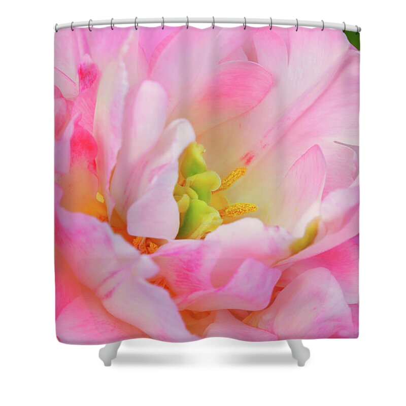 Spring Shower Curtain featuring the photograph Delicate Tutu by Iryna Goodall