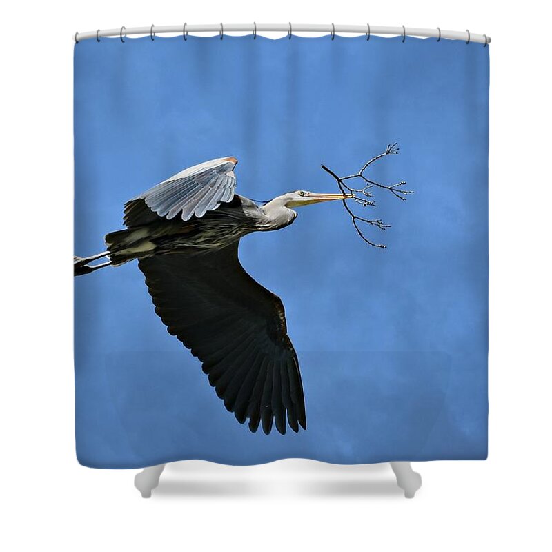 Great Blue Heron Shower Curtain featuring the photograph Delivery by Fraida Gutovich
