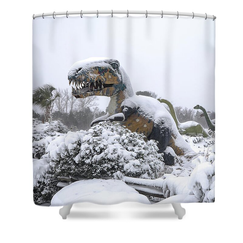 Photosbymch Shower Curtain featuring the photograph Demise of the dinosaurs by M C Hood