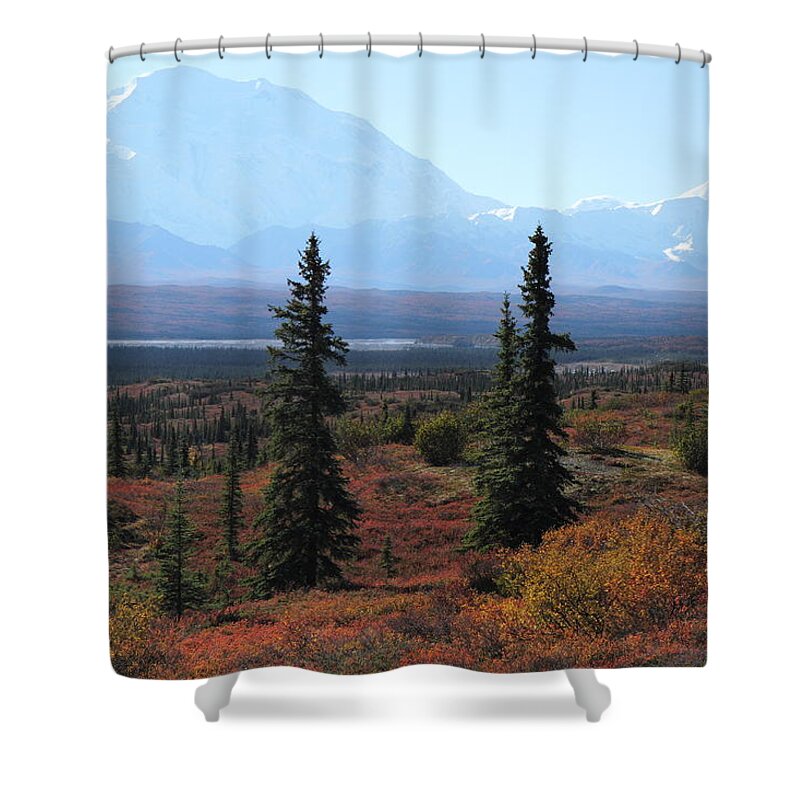 Denali Shower Curtain featuring the photograph Denali From Near Wonder Lake by Steve Wolfe