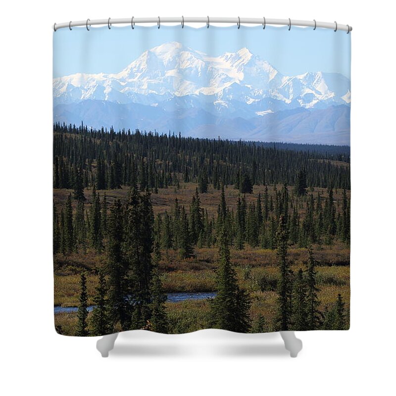 Denali Shower Curtain featuring the photograph Denali From The Denali Highway by Steve Wolfe