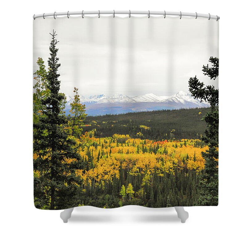Denali National Park Landscape Shower Curtain featuring the photograph Denali National Park Landscape by Phyllis Taylor
