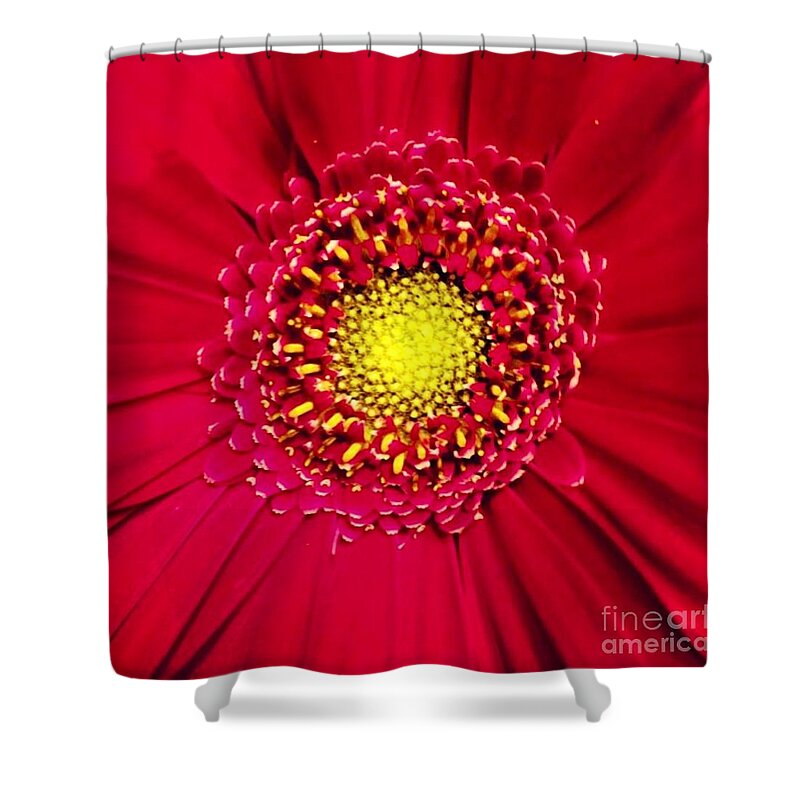 Flower Shower Curtain featuring the photograph Depth by Denise Railey