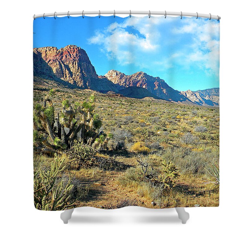 Frank Wilson Shower Curtain featuring the photograph Desert Beauty by Frank Wilson