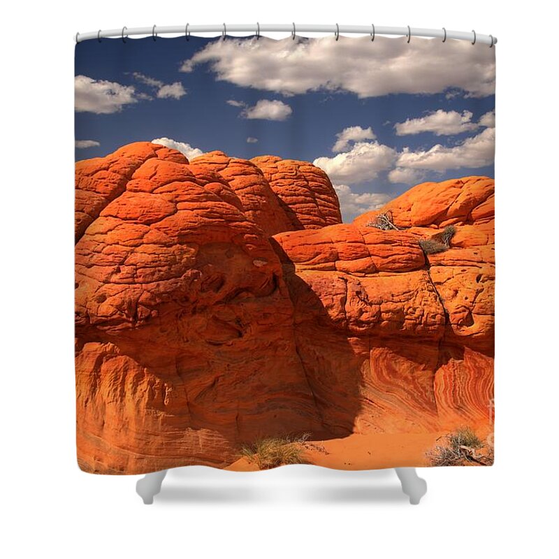 Brain Rocks Shower Curtain featuring the photograph Desert Brain Rocks by Adam Jewell