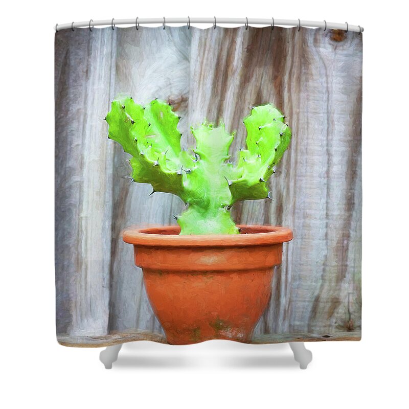 Cactus Shower Curtain featuring the photograph Desert Cactus and Succulents 087 by Rich Franco
