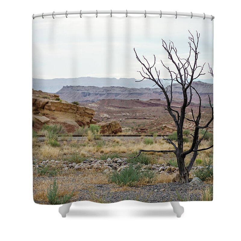 Utah Shower Curtain featuring the photograph Desert Colors by Margaret Pitcher