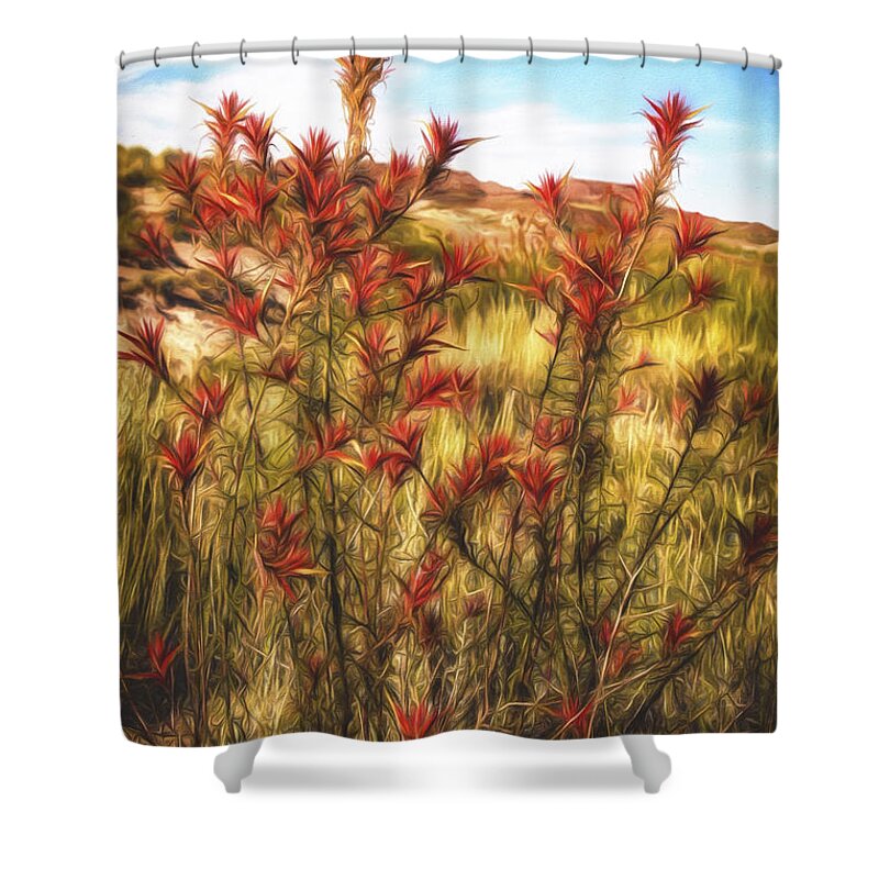 Fine Art Photography Shower Curtain featuring the photograph Desert Flora ... by Chuck Caramella