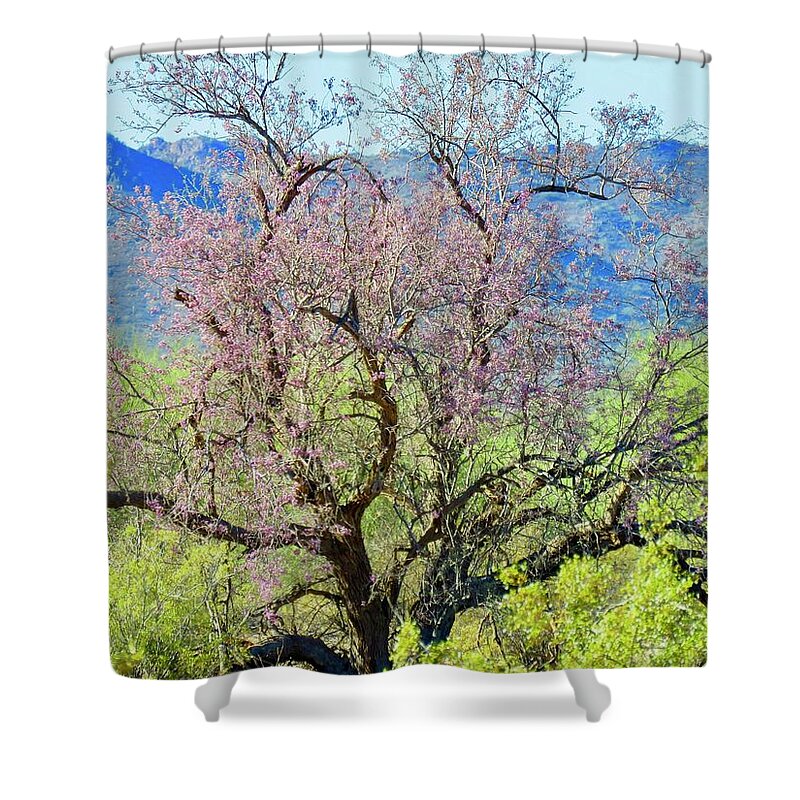 Arizona Shower Curtain featuring the photograph Desert Ironwood Beauty by Judy Kennedy