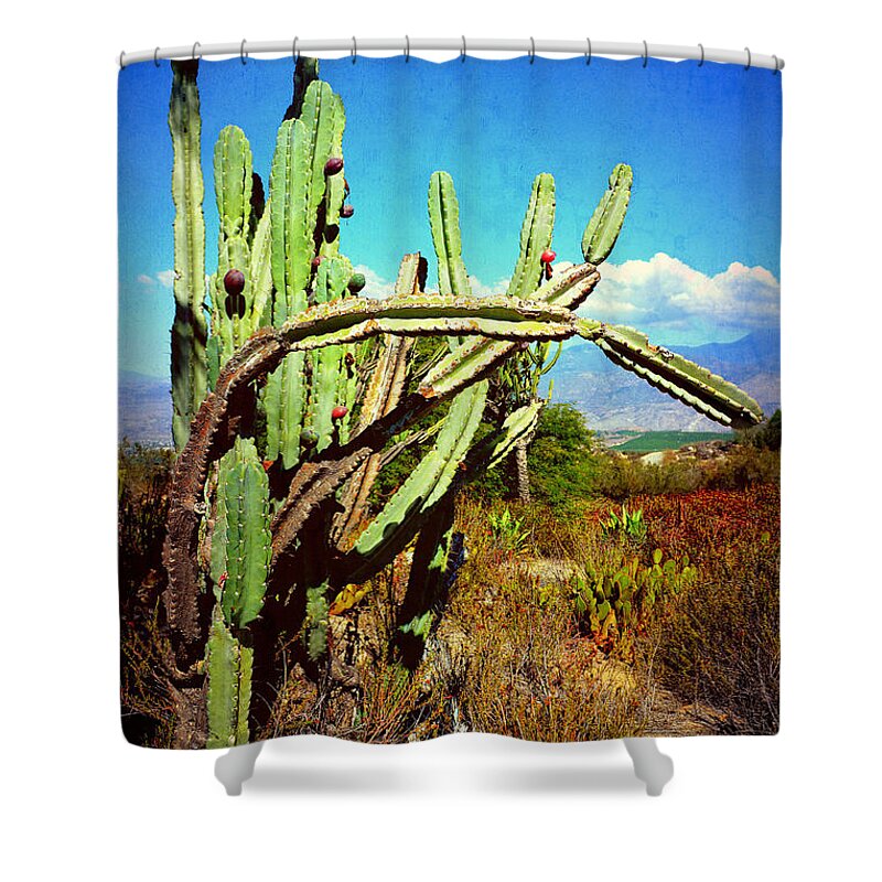 Glenn Mccarthy Shower Curtain featuring the photograph Desert Plants - Westward Ho by Glenn McCarthy Art and Photography