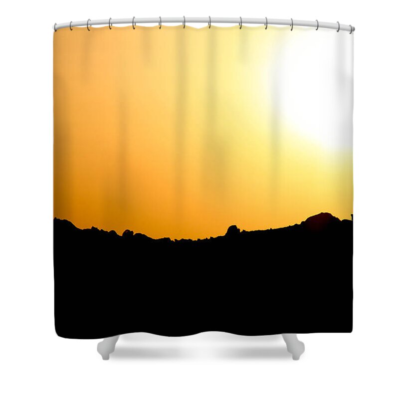 2015 Shower Curtain featuring the photograph Desert Strength by Jez C Self