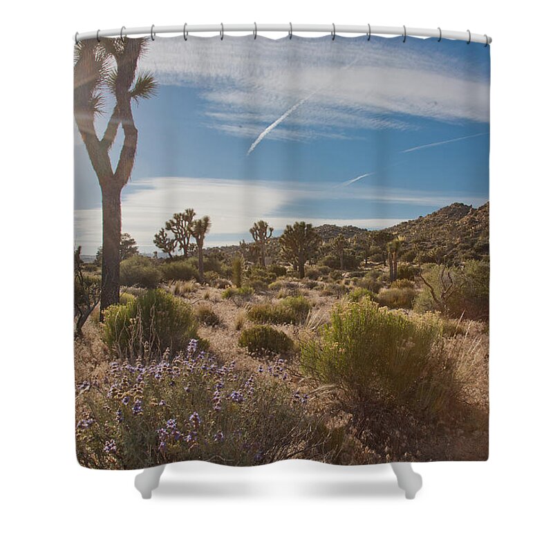 Joshua Tree Shower Curtain featuring the photograph Desert Sun by Matthew Bamberg
