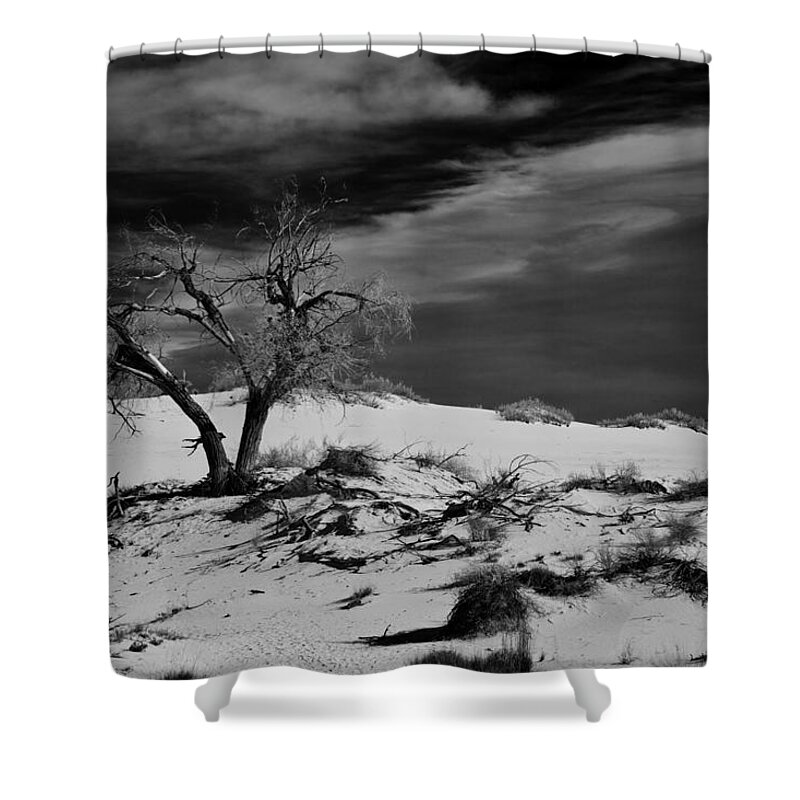 White Sands National Monument Shower Curtain featuring the photograph desert tree in White Sands bw by Ralf Kaiser