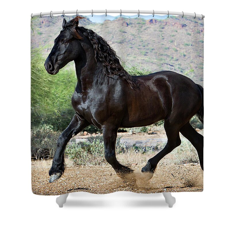 Horse Shower Curtain featuring the photograph Desert Wind by Jean Hildebrant