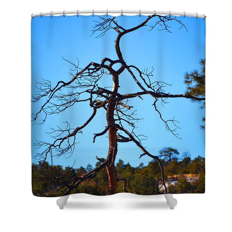 Southwest Landscape Shower Curtain featuring the photograph Deserts toll by Robert WK Clark