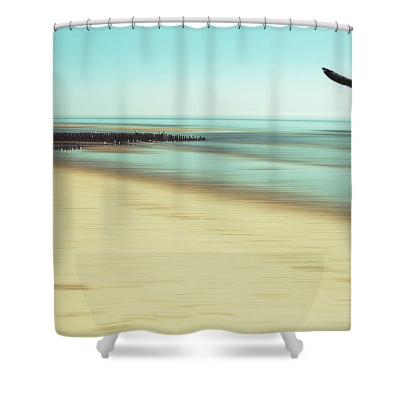 Seagull Shower Curtain featuring the photograph Desire by Hannes Cmarits