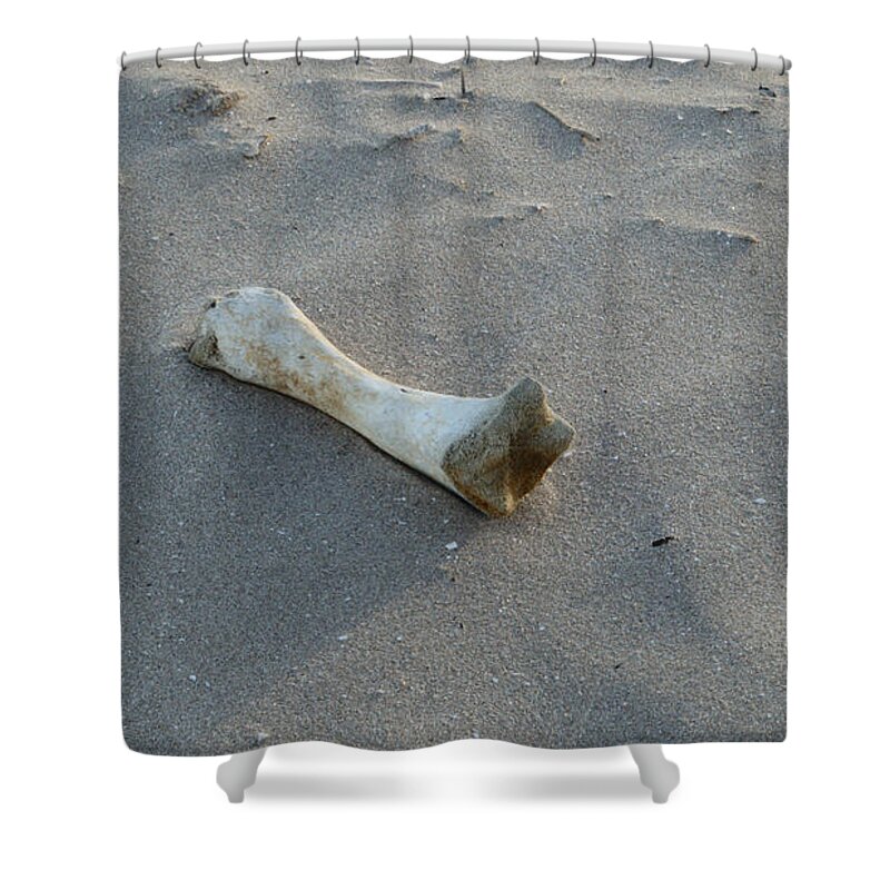 Animal Shower Curtain featuring the photograph Desolation by Adrian Wale