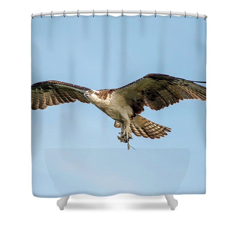 Crystal Yingling Shower Curtain featuring the photograph Destination by Ghostwinds Photography