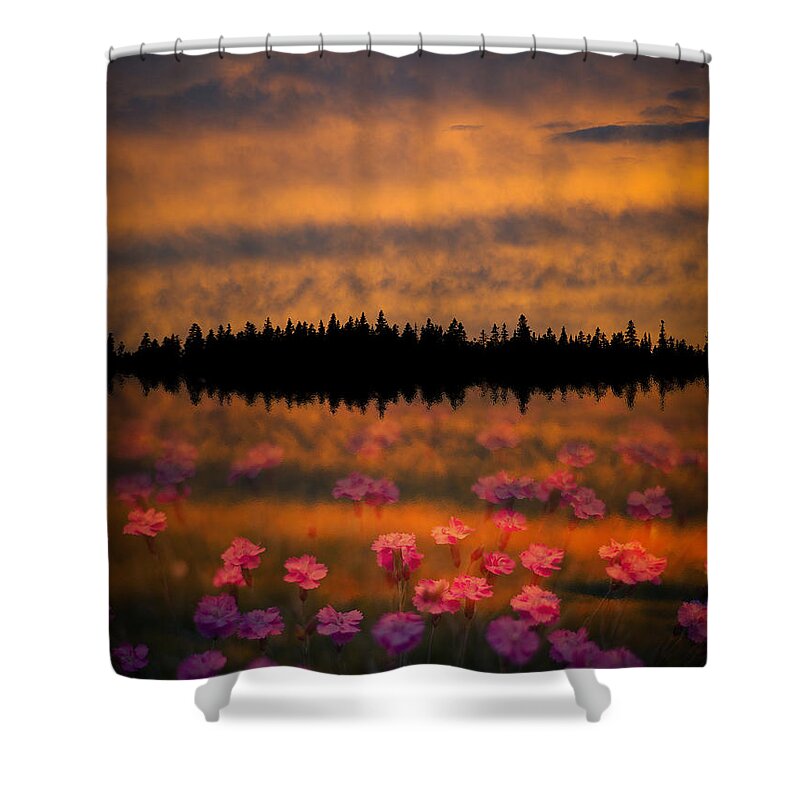 Canada Shower Curtain featuring the photograph Destiny by Doug Gibbons