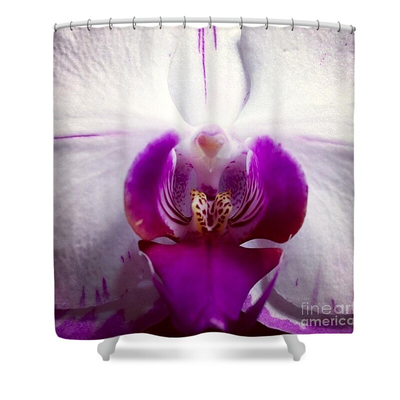 Orchid Shower Curtain featuring the photograph Love by Denise Railey
