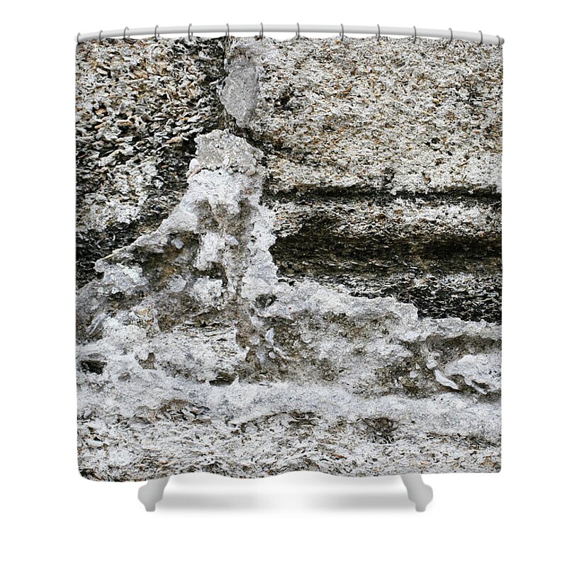  Shower Curtain featuring the photograph Details 1 by Candace Martinez