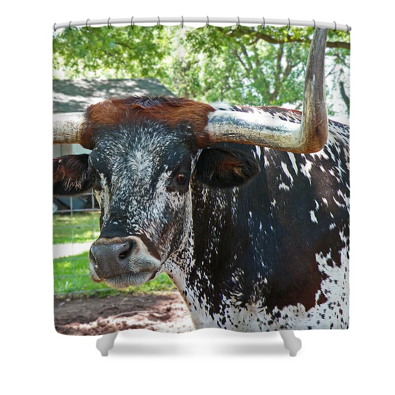Longhorn Shower Curtain featuring the photograph Devo by Donna Shahan