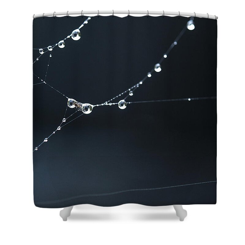 Dew Shower Curtain featuring the photograph Dew on cobweb 001 by Clayton Bastiani