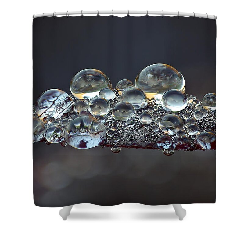 Jogchum Reitsma Shower Curtain featuring the photograph Landcape Captured in Dew on Smoketree Leaf by Jogchum Reitsma