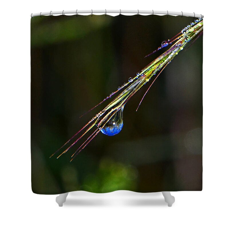 Dewdrop Shower Curtain featuring the photograph Dewdrop Reflection - Sunrise 001 by George Bostian