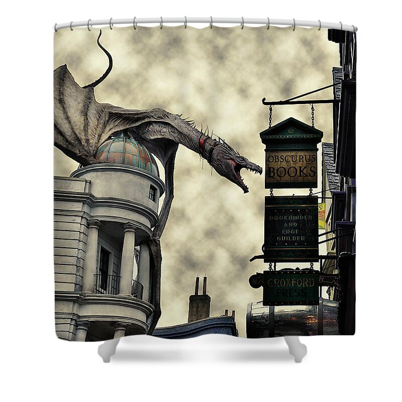 Diagon Alley from Harry Potter Shower Curtain