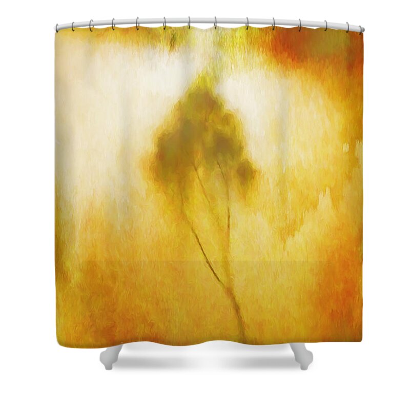 Diaphanous Shower Curtain featuring the photograph Diaphanous by Bellesouth Studio