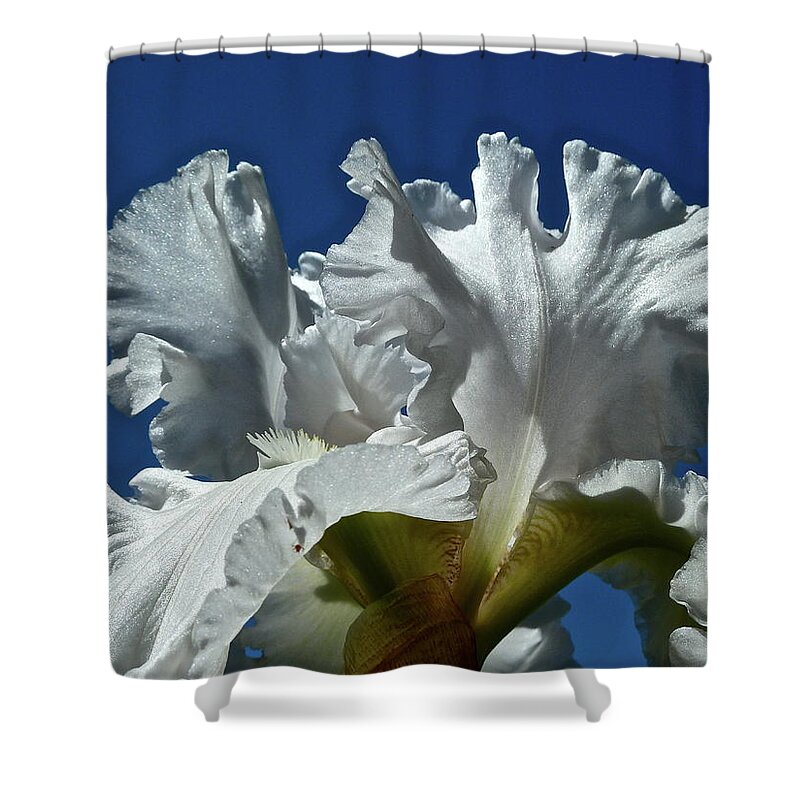 Flowers Shower Curtain featuring the photograph Did Not Evolve by Diana Hatcher