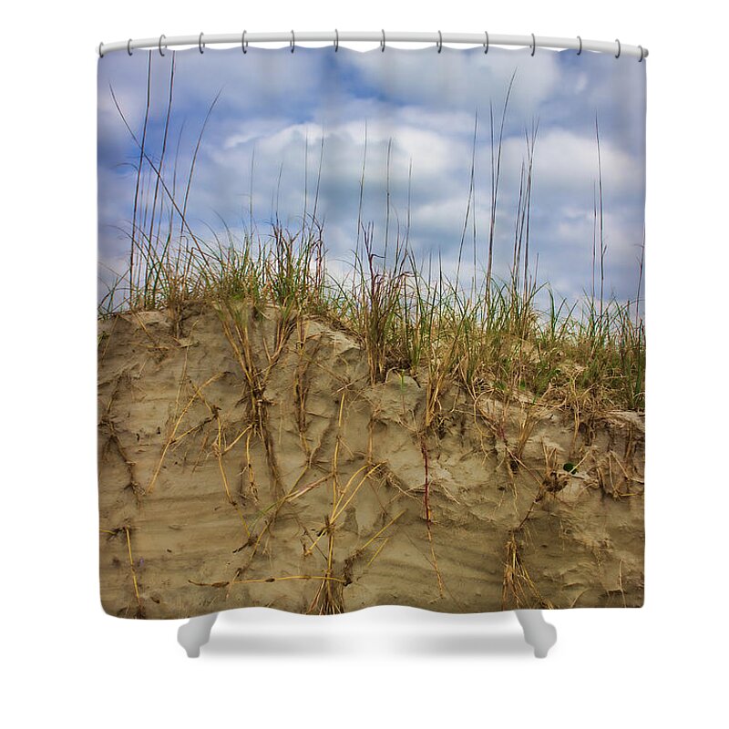 Sand Dunes Shower Curtain featuring the photograph Digging in Deep in Sand Dunes by Roberta Byram