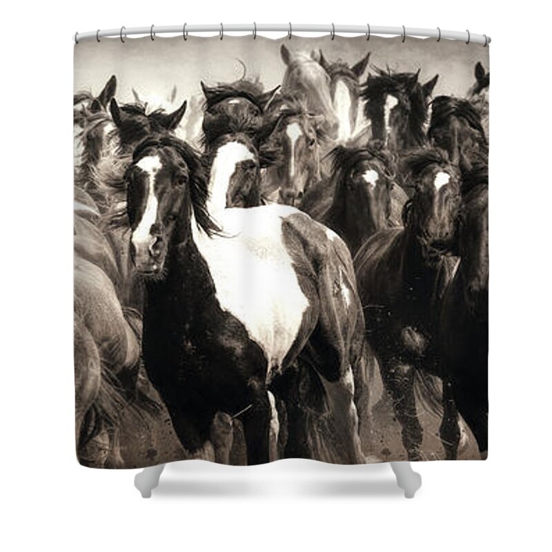 Horses Shower Curtain featuring the photograph Dinner Run by Pamela Steege