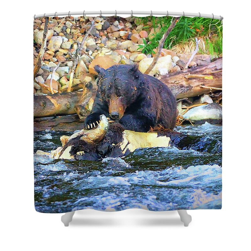 Grizzly Shower Curtain featuring the photograph Dinner Time by Greg Norrell