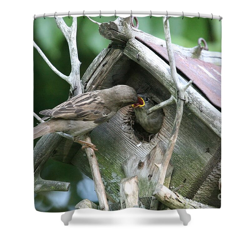 Birds Shower Curtain featuring the photograph Dinner Time by Jayne Carney